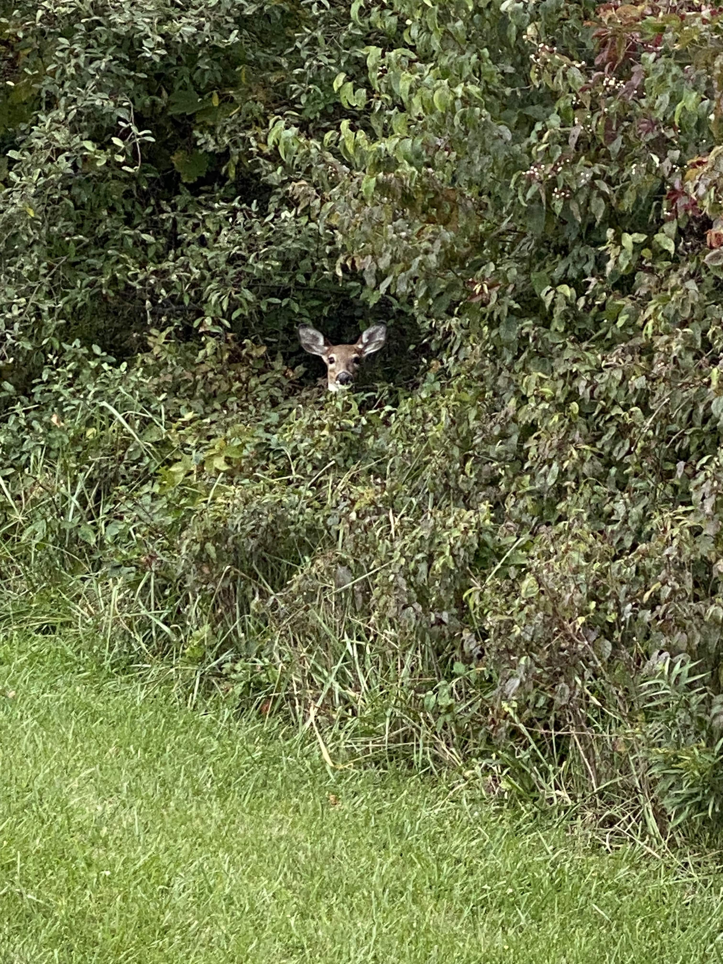 Maumee Bay State Park, Ohio