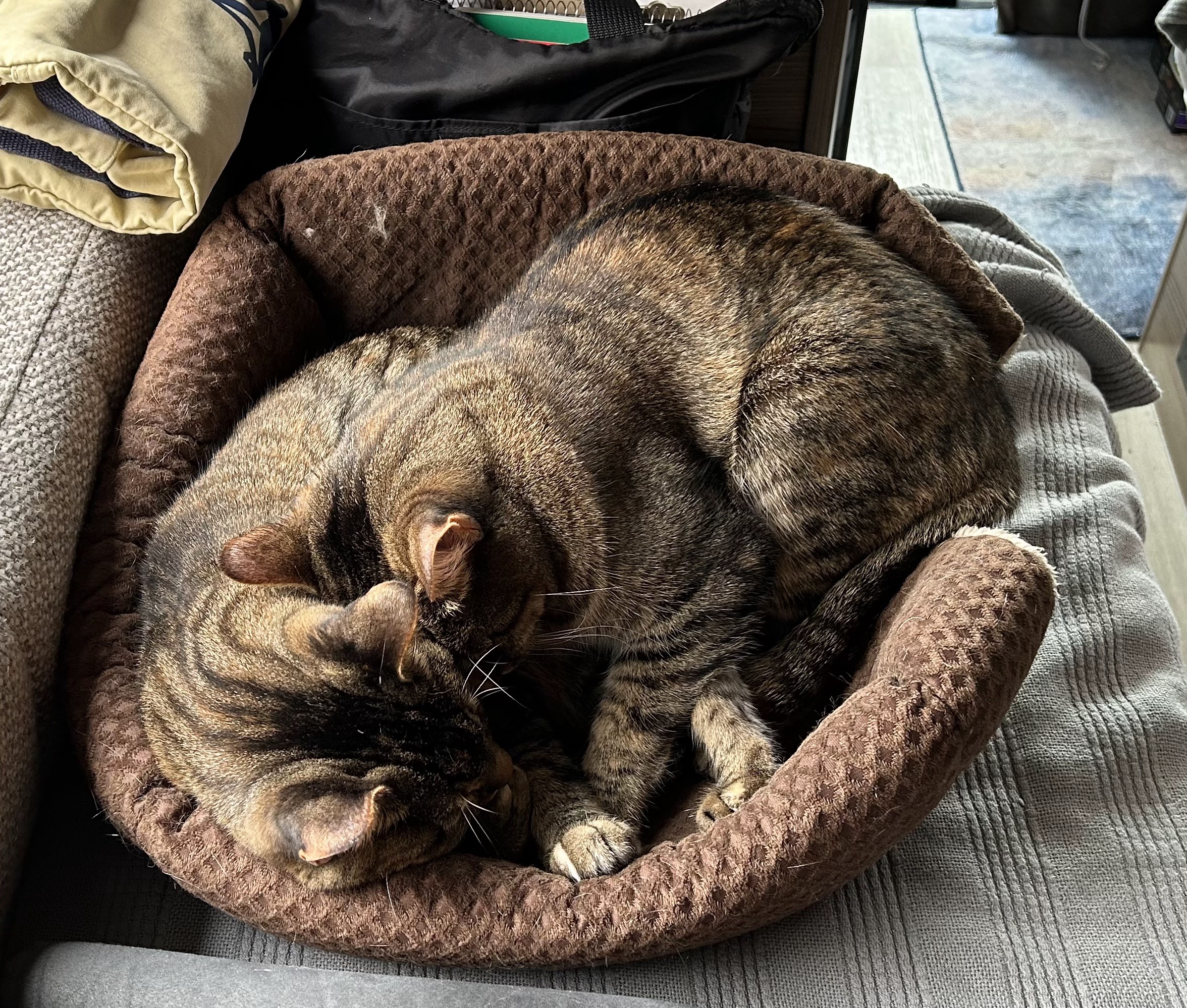 Rain and Snow and Hail and Wind