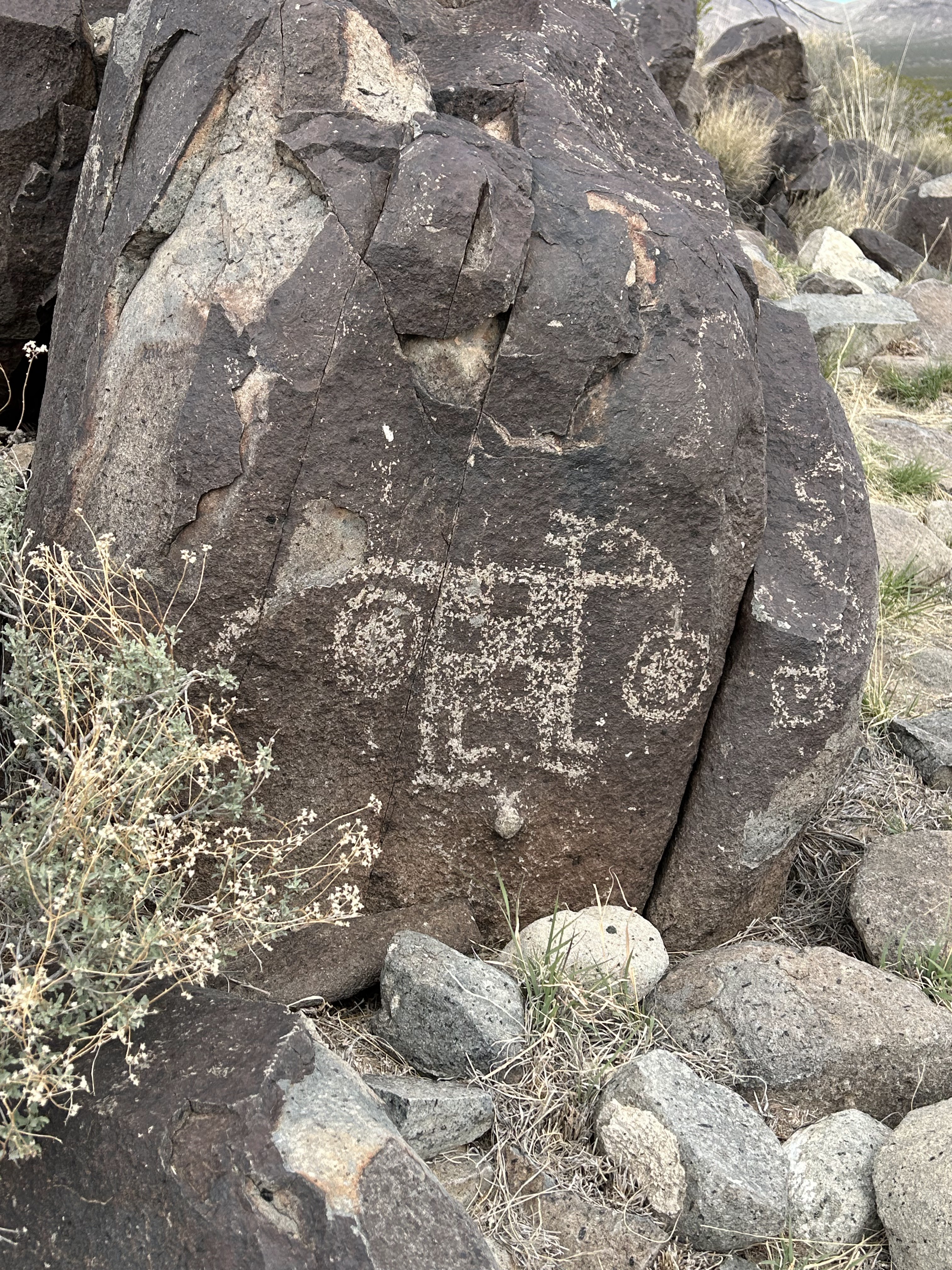 Three Rivers Petroglyphs