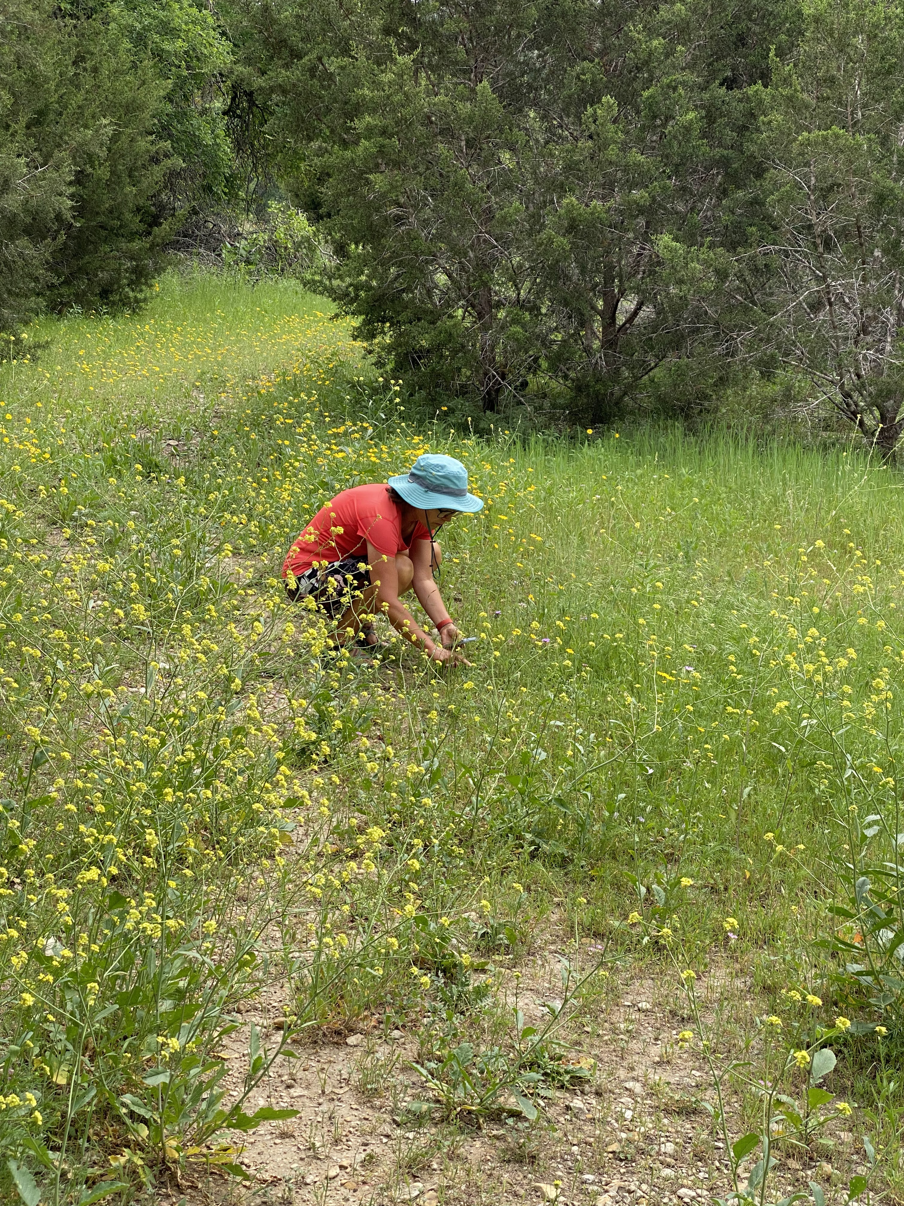 Leander KOA and Garey Park