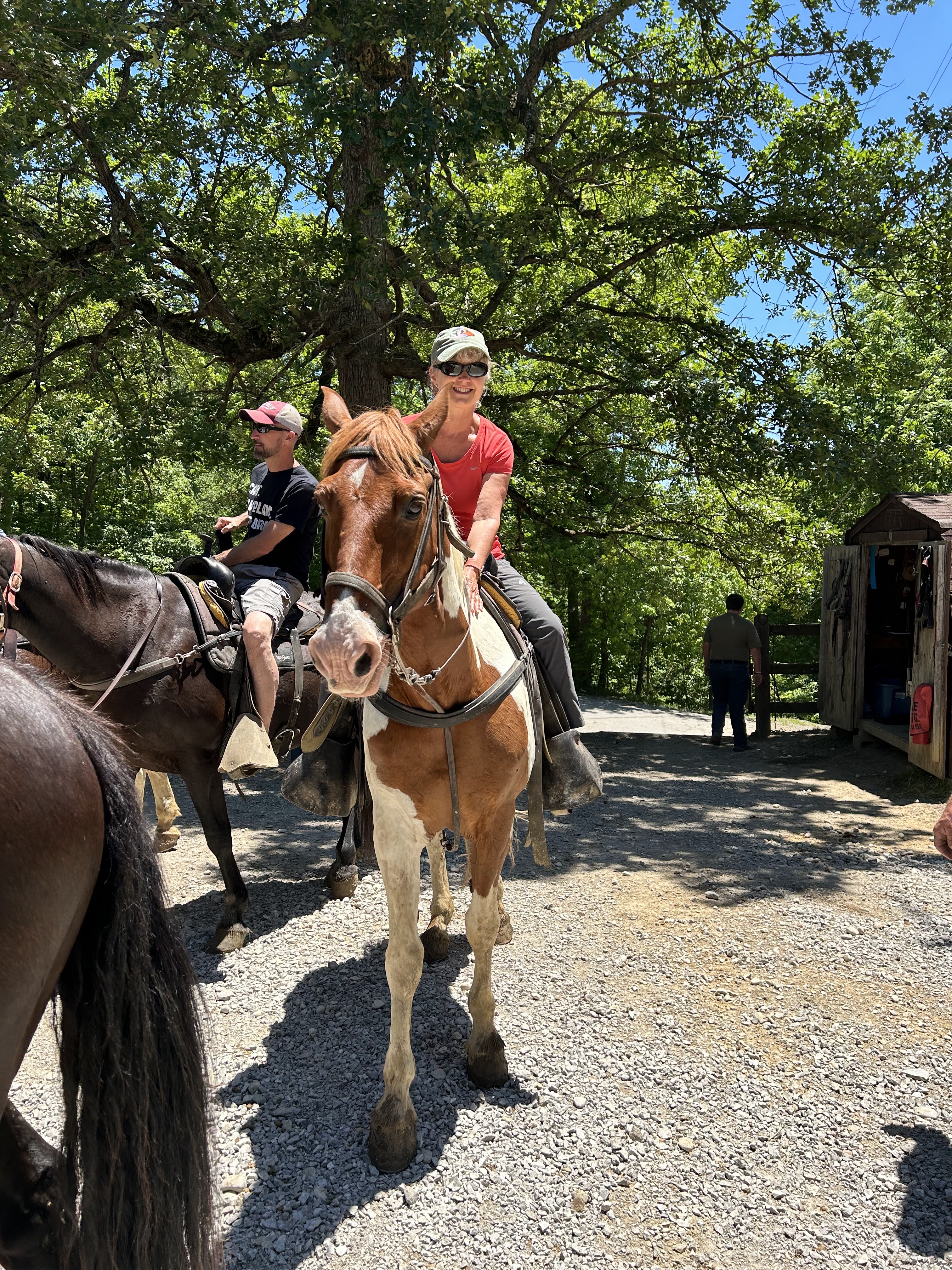 Horseback Ride and the Sheltowee Trace