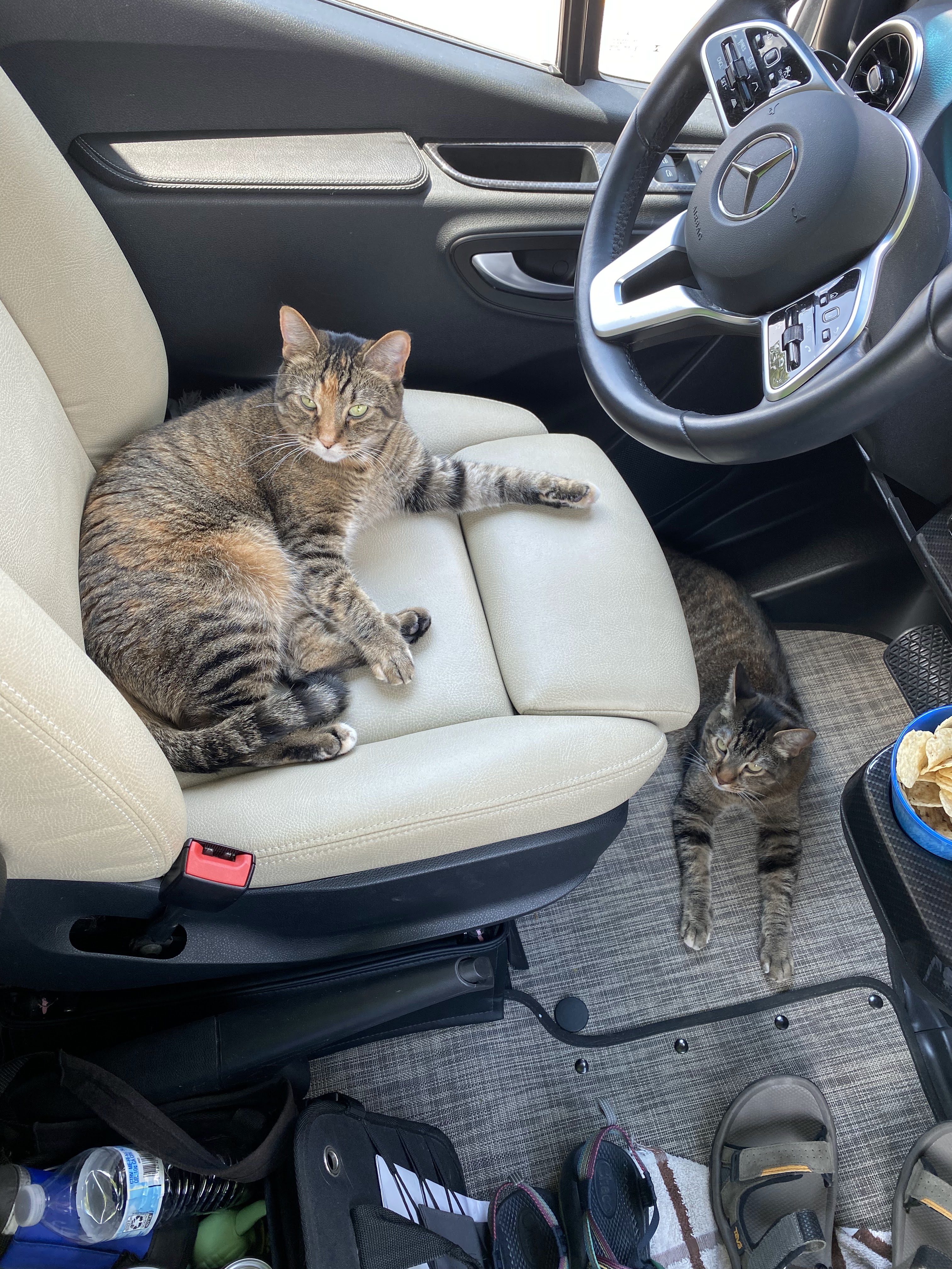 Sam A Baker State Park, MO