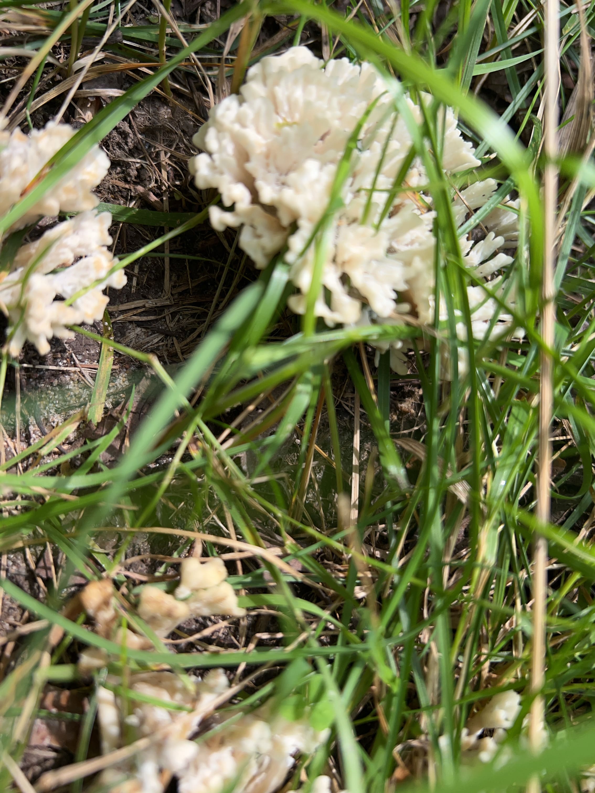 Savanna Portage State Park