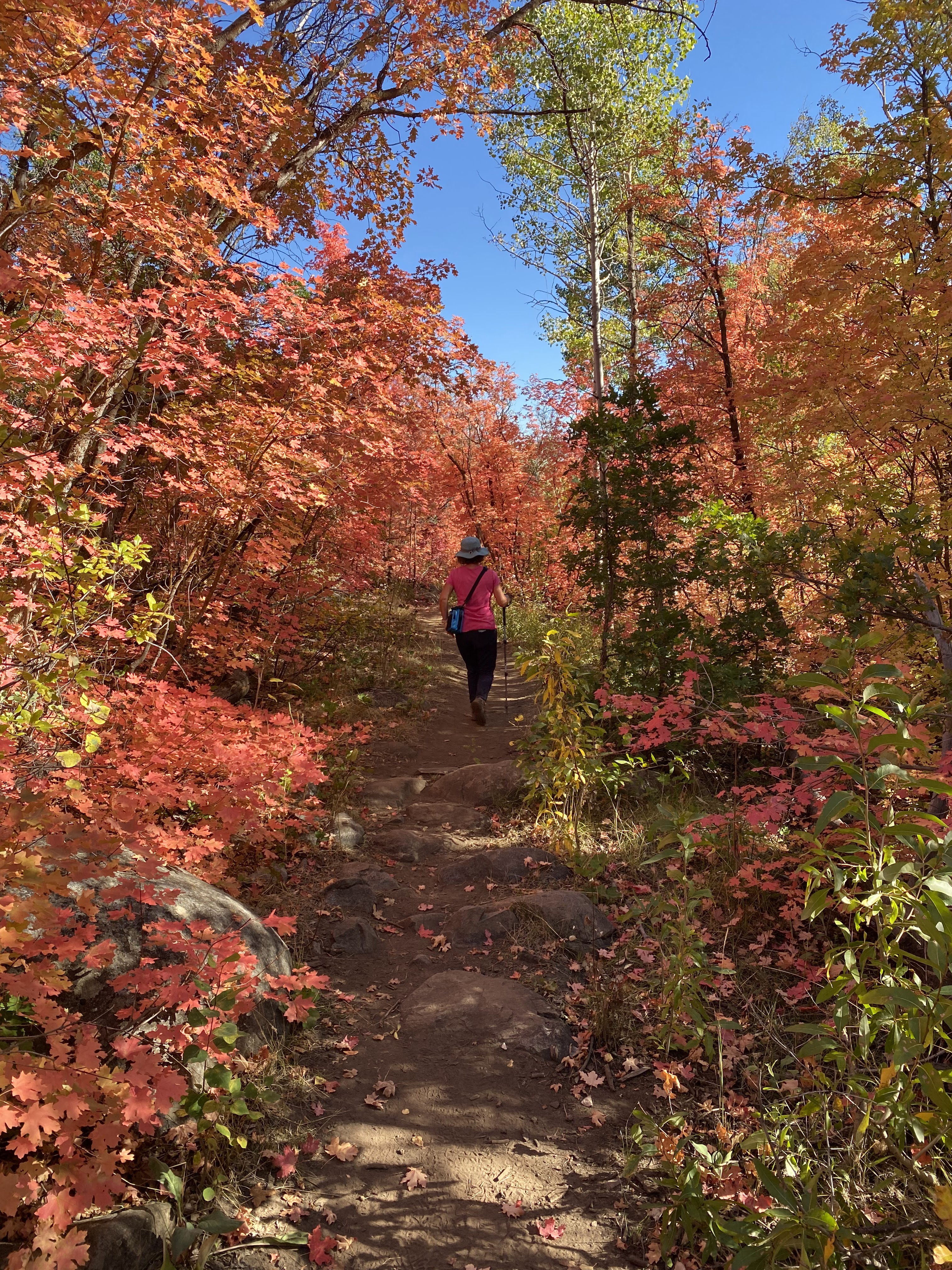 Wasatch Mountain State Park