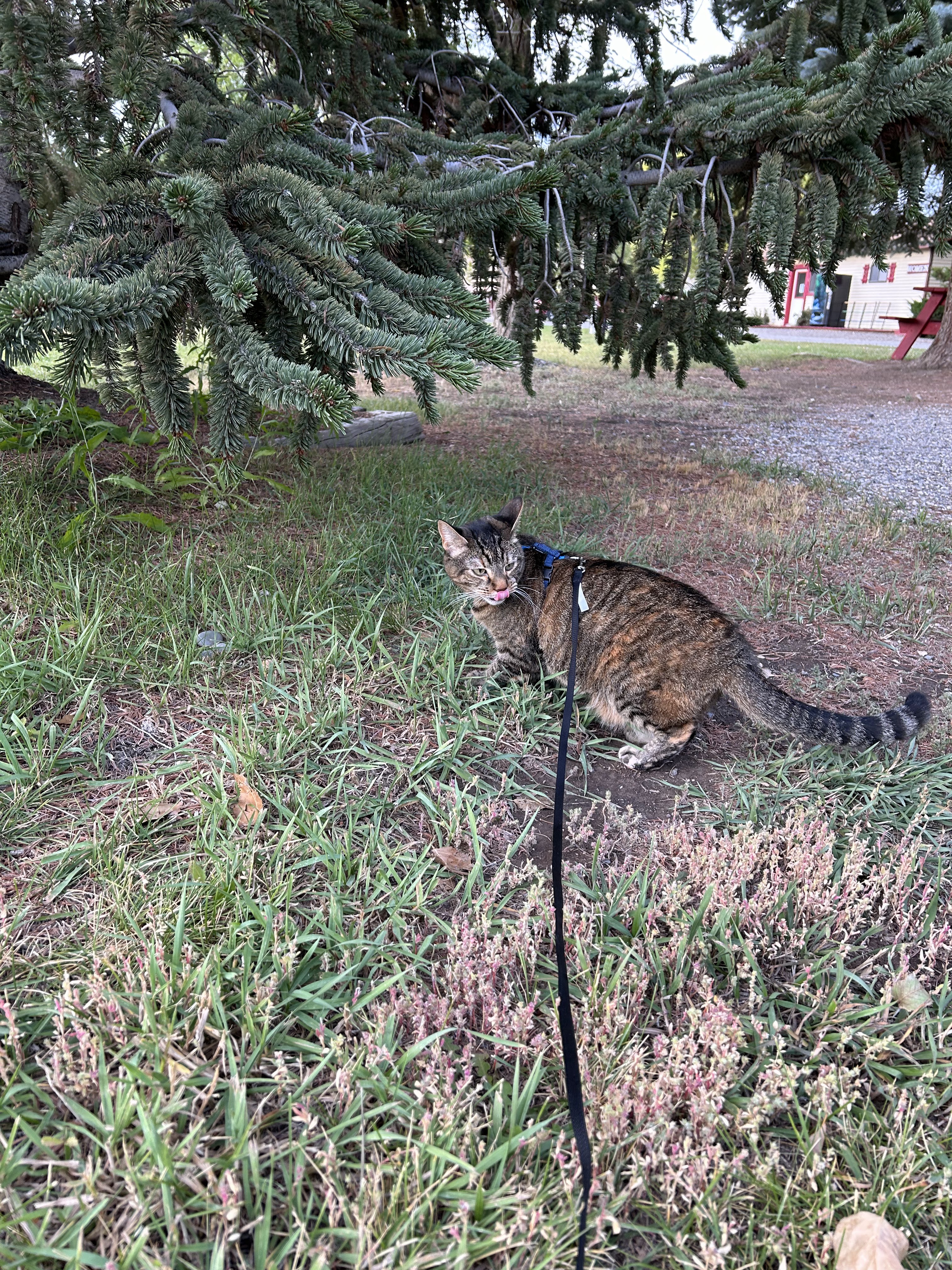 Suggested Route Not Always Best