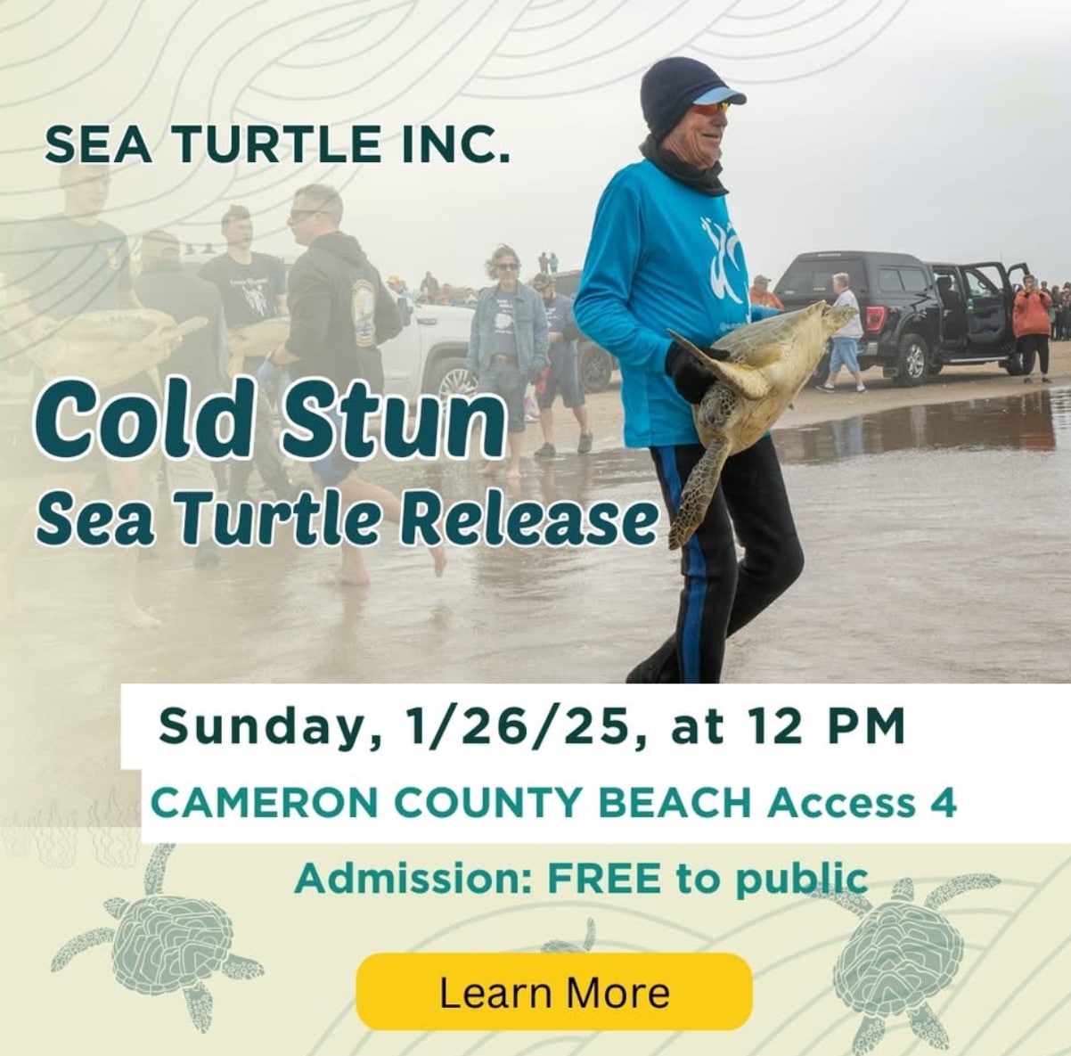 Flea Market and Turtle Release Weekend