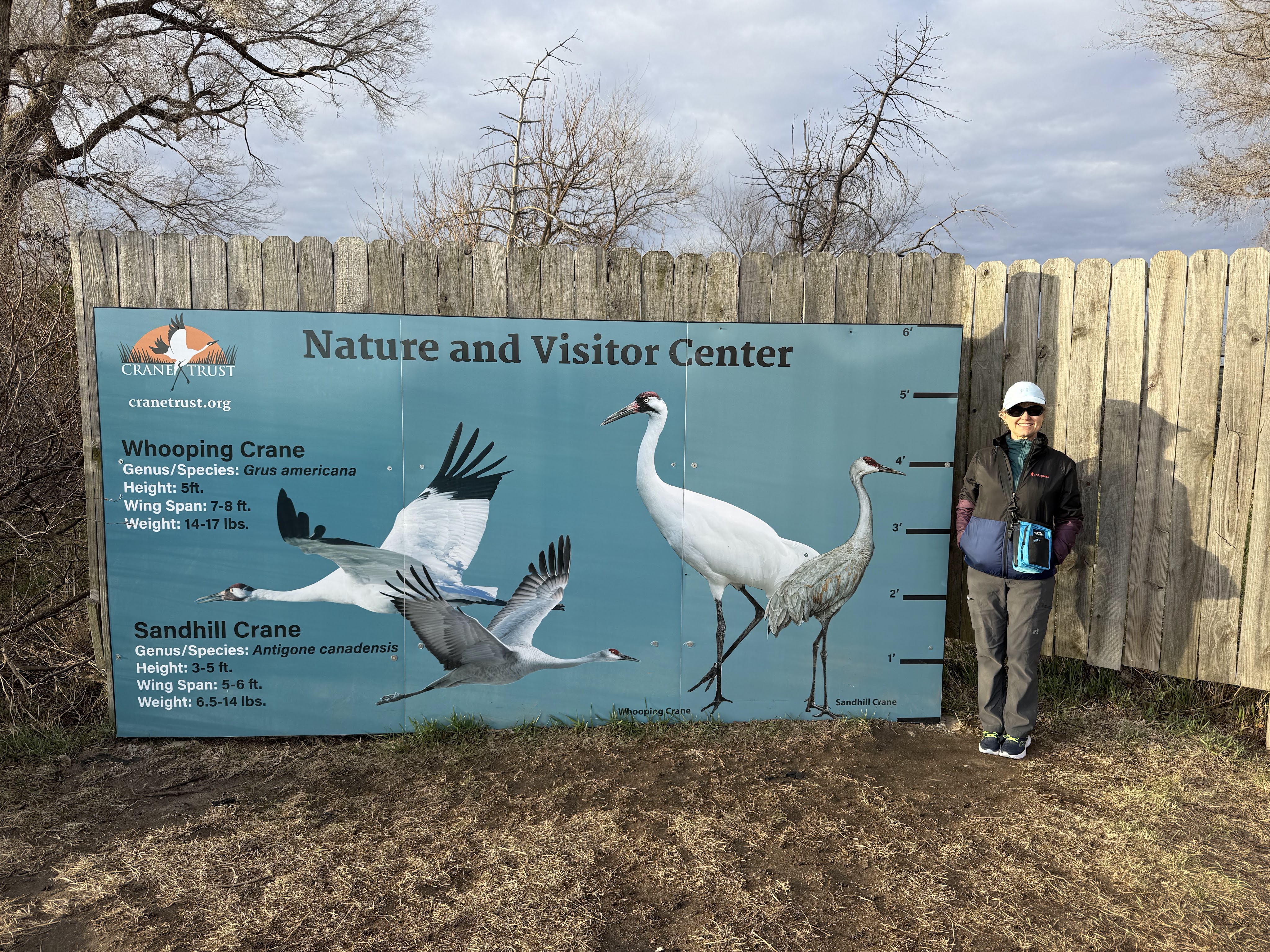 A Sandhill Crane Experience