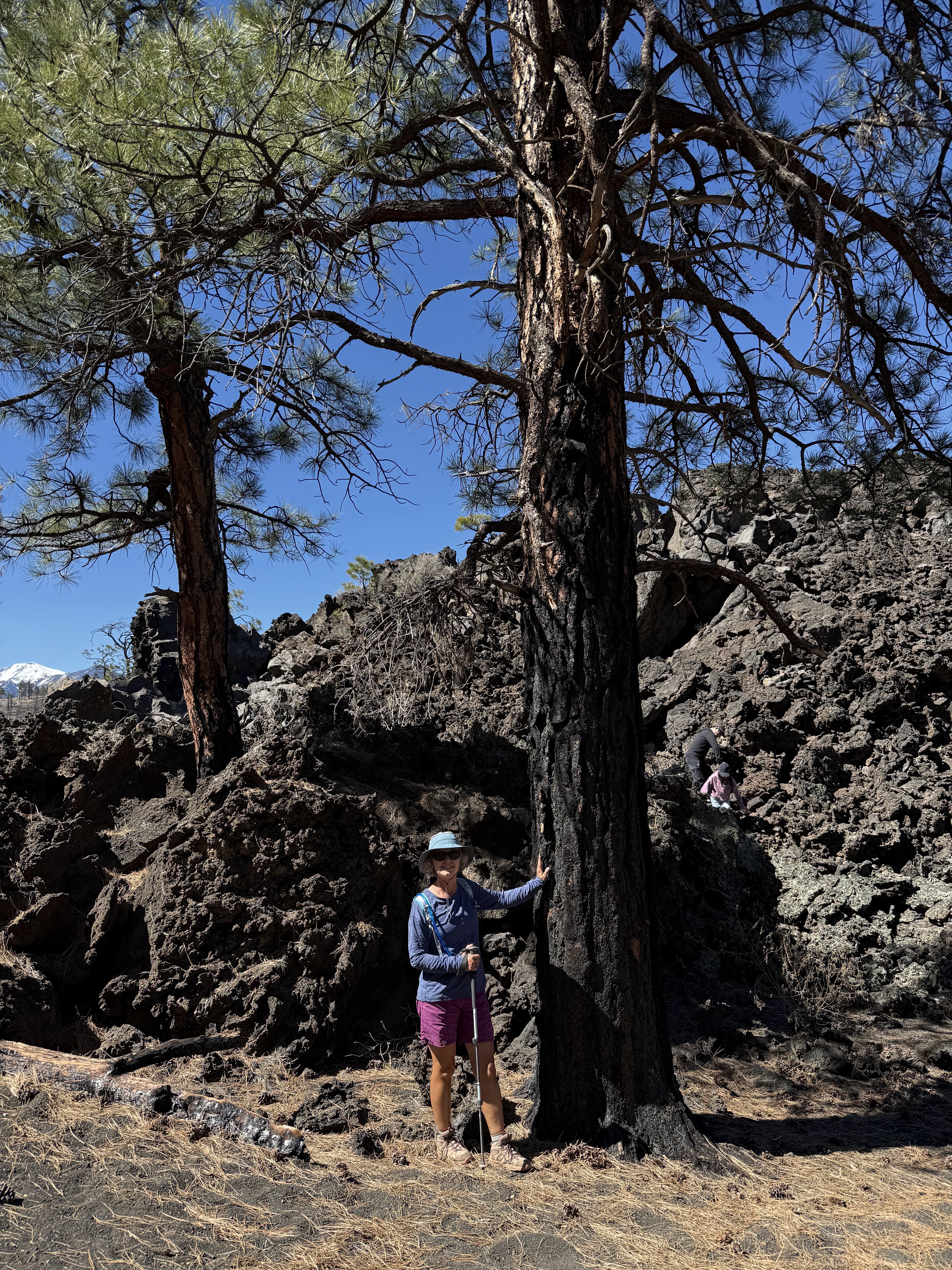 Sunset Crater National Monument